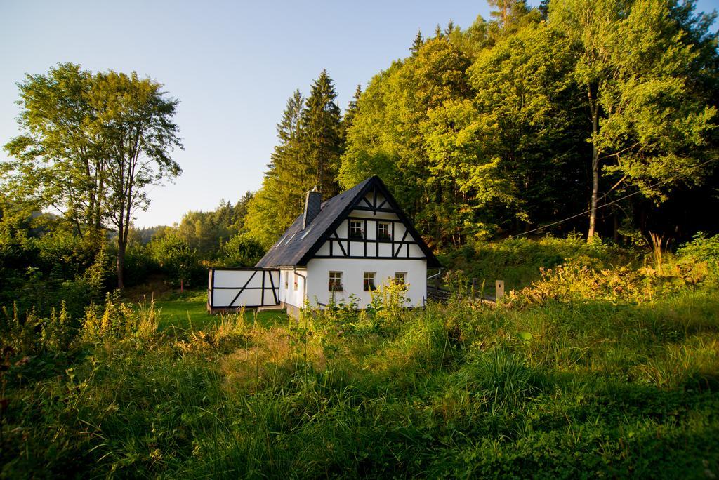 Chalupa Dlouhý Důl 19 Krásná Lípa Ruang foto