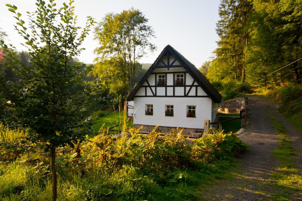 Chalupa Dlouhý Důl 19 Krásná Lípa Ruang foto